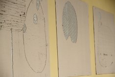 IMG 0692